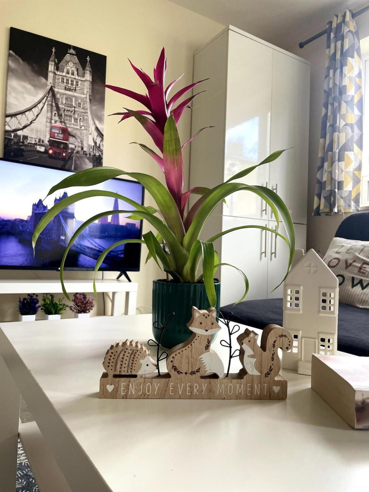 Appartamento Charming Flat In Londra